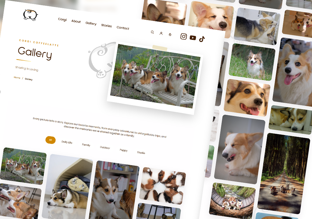 gallery corgi coffeelatte