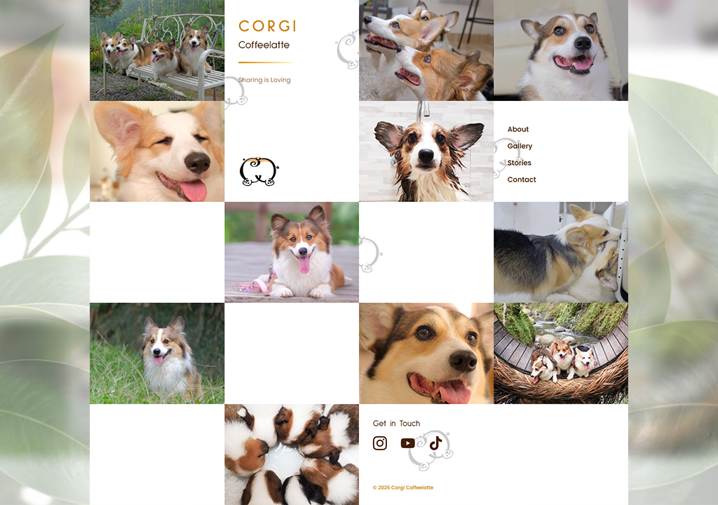 home corgi coffeelatte